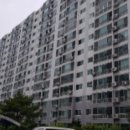 강남5길(정하동) 이미지