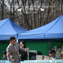 Runa ＆ SaB in KCSC Specialty Show 이미지