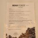 베어포레스트 스테이 이미지