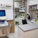 거부기 동물병원 이미지