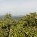 명주산(326m). 깃대봉(전의 459). 봉화재(224m). 토성산(210m)/세종.공주 이미지