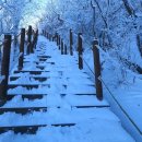 제594차(12/20) 전북 장수 장안산(1237m) 눈꽃산행 (100대명산) 이미지