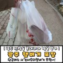 광주 신창동 롯데리아 방문 후기 햄버거 단골 메뉴 추천