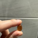 라이프트리 이미지