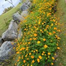 수원, 용띠 정모(농업박물관)♡ 이미지