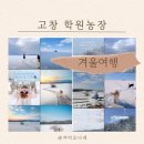무주농장 | 한국의 비에이, 고창 학원농장 아이랑 주말 겨울 눈 실시간 후기 주차