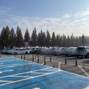 월드밸리 | 에버랜드 금요일 오픈런! 사파리월드 로스트밸리 티익스프레스 후기