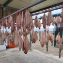 전촌1리 이미지