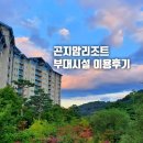 캠프포켓당구장 | [경기 광주]내돈내산. 곤지암리조트 즐길거리 [어린이 놀이터ㆍ레포츠센터ㆍ게임캠프ㆍBBQ]
