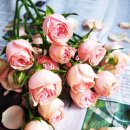 중앙플라워(생화) 이미지