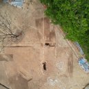 강진10호 이미지