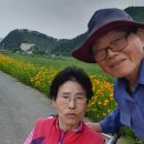 금국농장 이미지