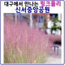 신서공원 이미지