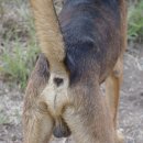 서초동물병원 이미지