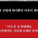 주란목장 네이버블로그
