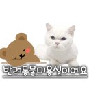 알라뷰미용실