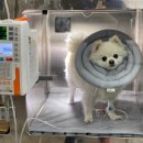 은계동물병원 이미지