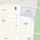 타잔비엔지 이미지