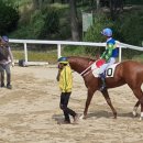 그린네 은쟁반 이미지