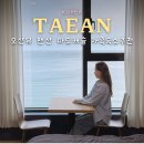 로맨틱533펜션&캠프 | 태안 오션뷰 펜션 만리포 바다 펜션 가족숙소 카페 추천
