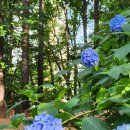 동막공원 이미지