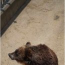 반달농장 이미지