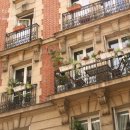 식물원 옆 동물원 이미지