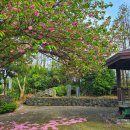 선흘1리경로당 이미지