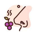 힐링엠테라피