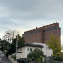 피아노호텔 | 신라호텔 더라이브러리 벌집꿀아포가토빙수 후기, 피아노 선율 속 여유로운 티타임