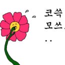 유니스포라