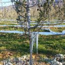 바울농장 이미지