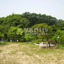 술이홀로(2) 이미지