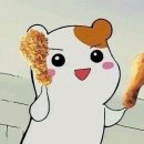 호치킨 구일점 이미지