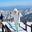 안성면105 이미지