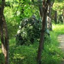 (주)이태 이미지