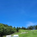 스타인목장 이미지