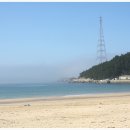 금일해당화해수욕장 Daum카페