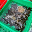 괴산펜션 이미지