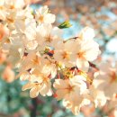 밝은달한의원 이미지