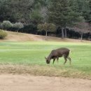 오라골프존 이미지