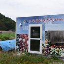 온천로(도산면) 이미지