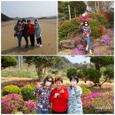 송림황토가든 이미지