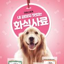 자연스럽개 티스토리