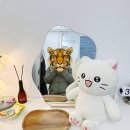 차윤 왁싱