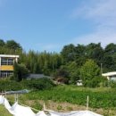 신흥초등학교 이미지