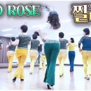 라인나이트댄스 이미지