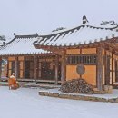 당진 티스토리