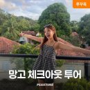 망고 스테이 이미지