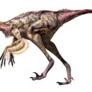 트루돈 | 트루돈, 날렵하고 지능이 있는 소형 공룡